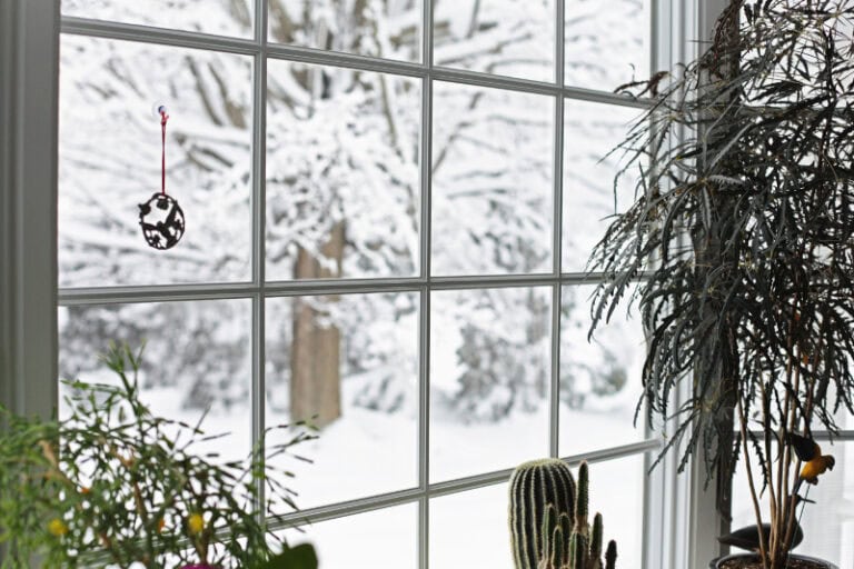 A cozy indoor window view looking out at a snowy winter landscape.